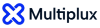 MultiPlux UI UX services